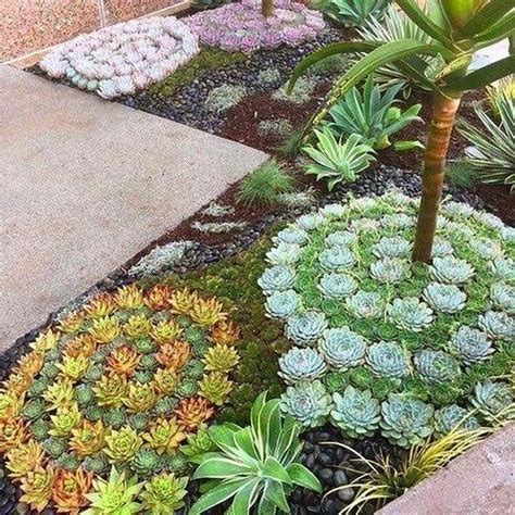 36 Awesome Succulent Front Yard Landscaping Ideas#awesome #front #ideas #landsca... , #aweso ...