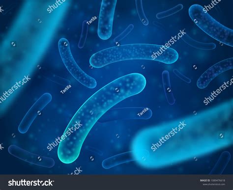 3,290 Bacteria Chromosome Stock Vectors, Images & Vector Art | Shutterstock