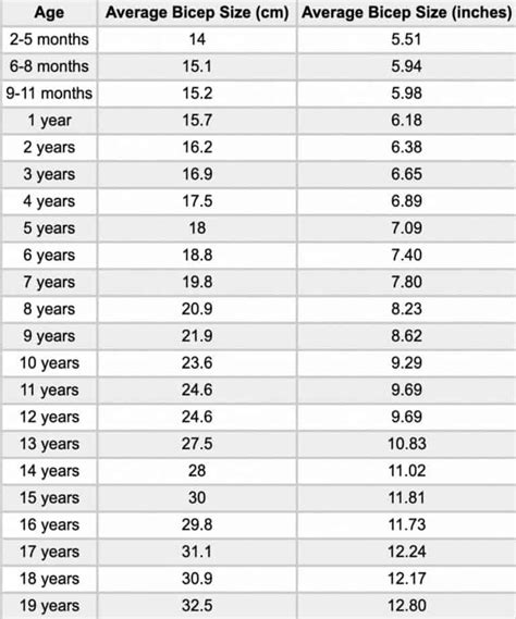 Average Bicep Size and Circumference (Males, Females, Teens)