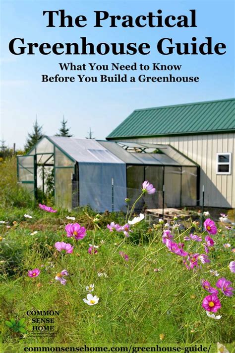 Greenhouse Guide - What You Need to Know Before You Build