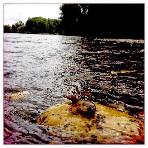 YAKIMA RIVER REPORT - 10/26/14 - The Evening Hatch