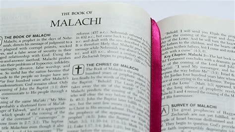 malachi the bible - WingPhilean