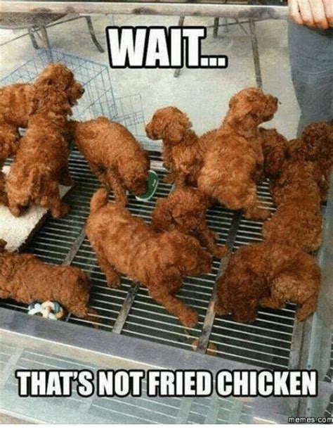 Did you fall for it? 😂 . . . . . . . . . . . . . . . . . . #friedchicken #chicken #eating # ...