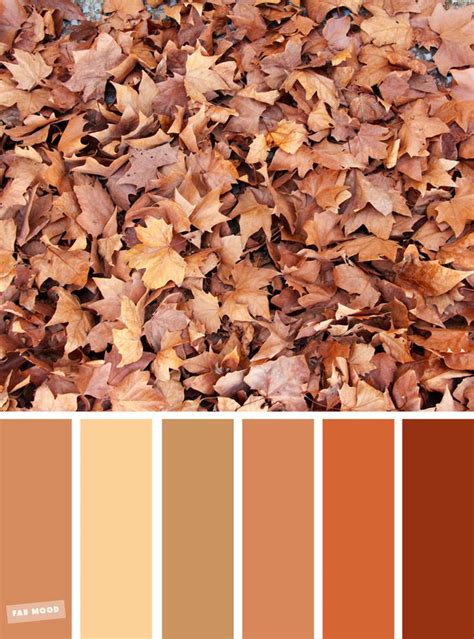 59 Pretty Autumn Color Schemes { Golden brown autumn leaves } (With images) | Brown color ...