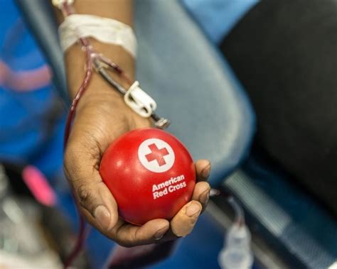 Emergency Need for Blood Donations as Red Cross Experiences Critical Blood Shortage - Standard News