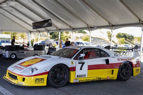 Ferrari F40 LM at The Sonoma Speed Festival | MotorMavens • Car Culture ...