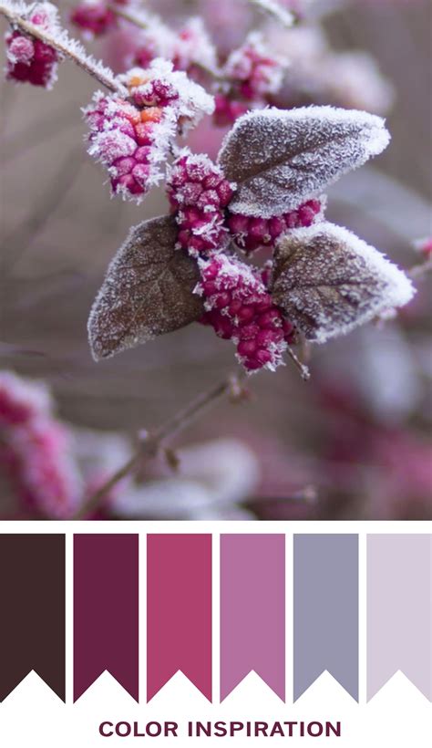 beautiful mauve color scheme | Paleta de cores rosa, Paleta de cores, Combinação de cores