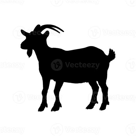 Goat Silhouette isolated 24483629 PNG