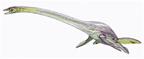 10 Facts About Elasmosaurus, Ancient Marine Reptile