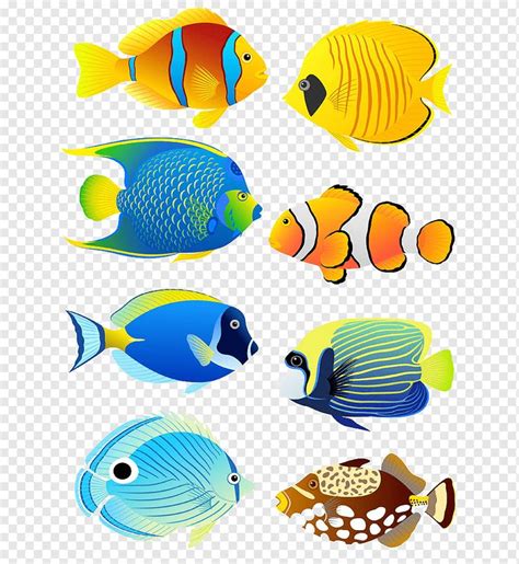 Assortment of Cartoon Fish Illustrations