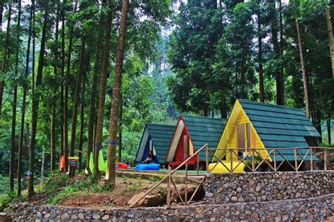 Tempat Wisata Pohon Pinus Di Bogor Hutan Pinus Wisata Banyuwangi Songgon Rekreasi Kekinian ...