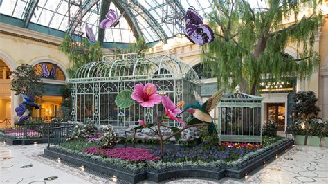 Bellagio Conservatory debuts its springtime 2021 display