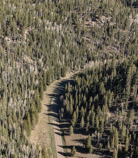 Premium Photo | Road at grand canyon aerial view