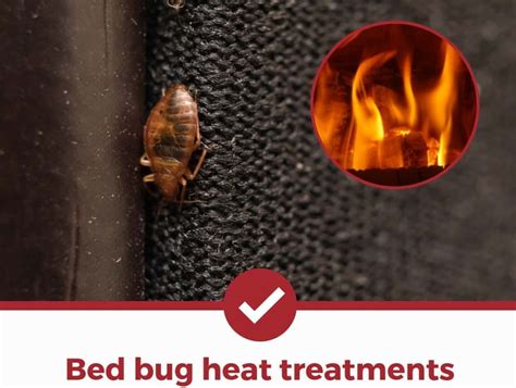 What You Need To Know About Bed Bug Heat Treatment - AKCP