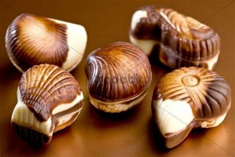 Belgian chocolate seashells - Download Abstract