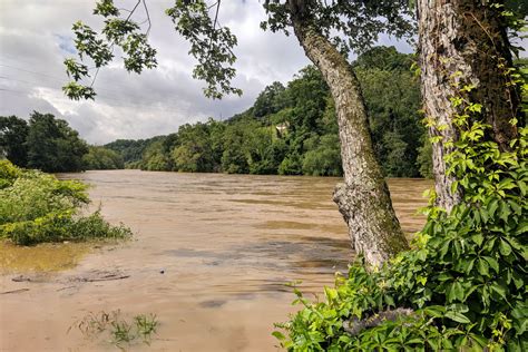 RiverLink | Conservation and Vitality for the French Broad River