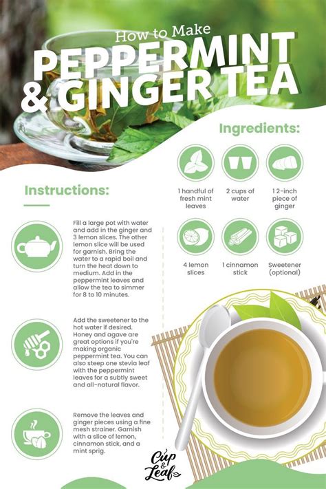 How to Make Peppermint Tea 5 Different Ways | Peppermint tea ...