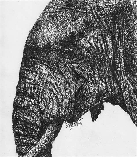 Scribble animals on Behance