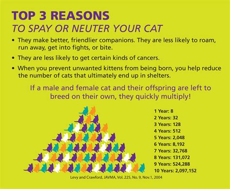 ONE DAY LOW-COST SPAY/NEUTER CAT CLINIC | The Humane Society of Greenwood