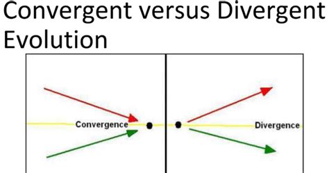 Divergent Vs Convergent Graph