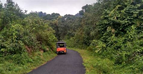 Visiting Pathanamthitta? Don't miss these pristine forests | Forest | Pathanamthitta Where To Go ...