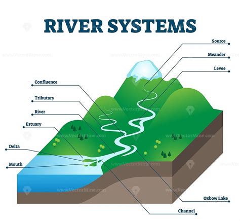 River systems and drainage basin educational structure vector ...