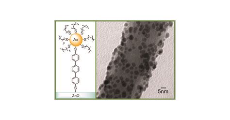 Synthesis and Optical Properties of Dithiol-Linked ZnO/Gold Nanoparticle Composites | The ...