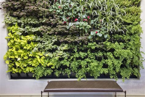 How to Create a Living Wall — Vertical Garden Ideas for 2024