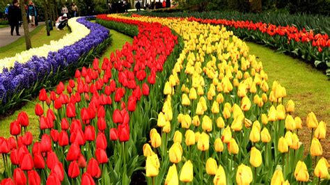 Keukenhof Gardens Netherlands • Tulip Garden in Holland | European ...