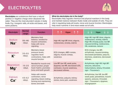 Electrolytes [+ Free Cheat Sheet] | Lecturio Nursing