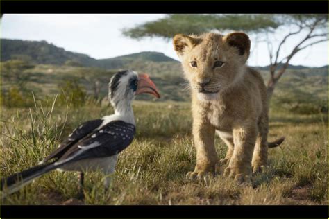 Is There a 'The Lion King' End Credits Scene?: Photo 4322671 | Movies, The Lion King Pictures ...