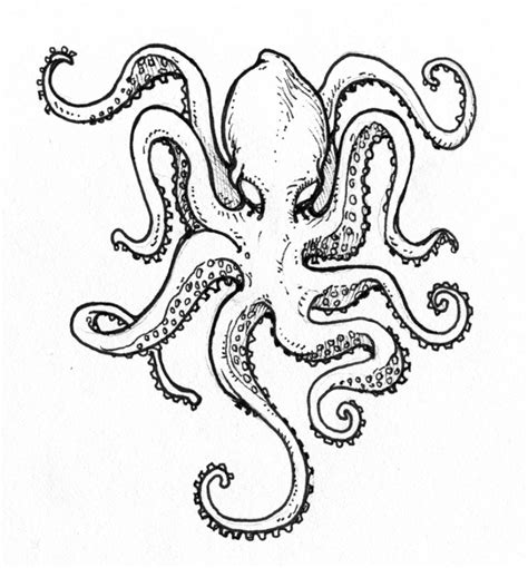 Octopus Tentacles Drawing at PaintingValley.com | Explore collection of Octopus Tentacles Drawing