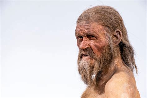 Otzi The Iceman Tools