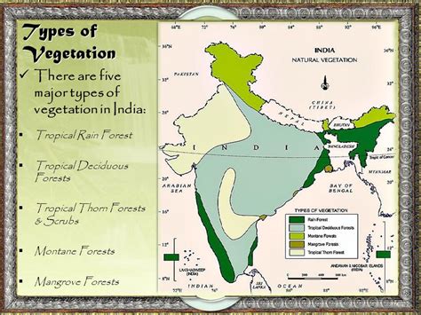 Indian Vegetation Map