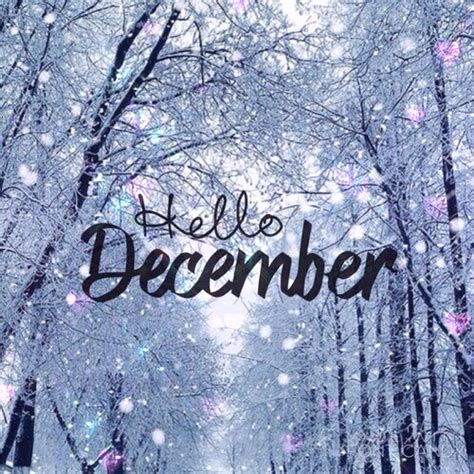 Hello, December! | December quotes, Hello december, Winter quotes