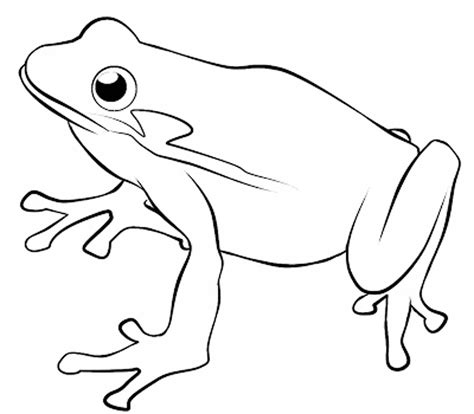 line drawing of a frog - Clip Art Library