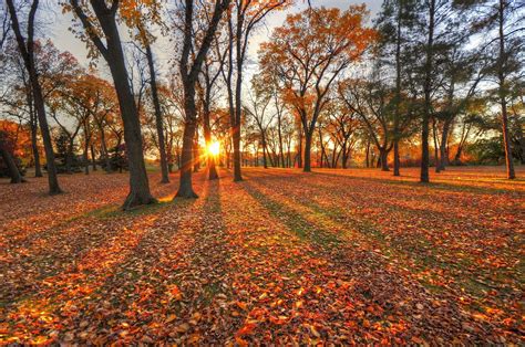 Sunset Autumn Forest Wallpapers - Wallpaper Cave