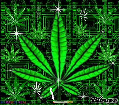 Weed GIF - Find & Share on GIPHY