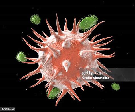 Influenza Virus Microscope Photos and Premium High Res Pictures - Getty ...