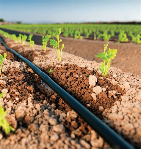 Drip Irrigation System Supplier in Pakistan- FDP Pakistan