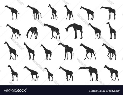 Giraffe silhouette svg icon Royalty Free Vector Image