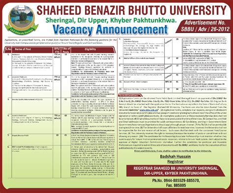 Shaheed Benazir Bhutto University Sheringal Jobs Opportunities - PK Jobs Opportunities