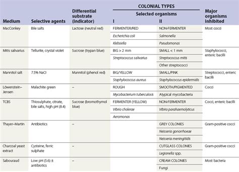 6: Diagnostic microbiology and laboratory methods | Pocket Dentistry