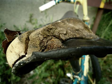 Abandoned Bike | A kids bike I found abandoned in downtown S… | Flickr