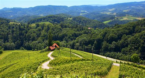 Wines of Slovenia | I feel Slovenia