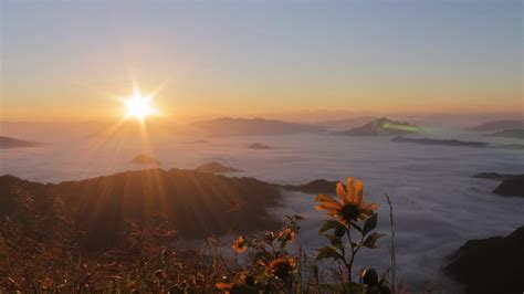 Phu Chi Fa - Sunrise & the sea of fog in Chiang Rai - It's better in Thailand