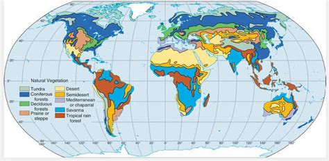 how to draw the map of natural vegetation of world - Brainly.in