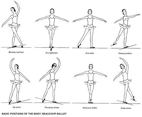 ballet explained: positions of the arms and body – movita beaucoup