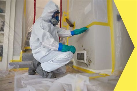 Mold Removal Miami Beach - Fix Mold - Medium