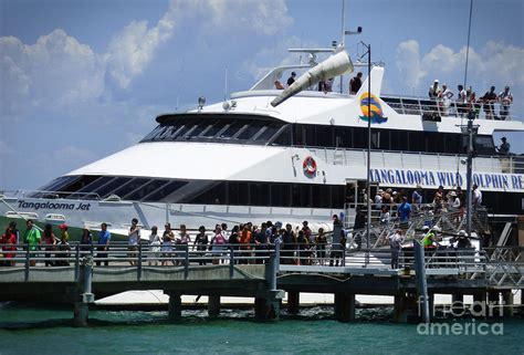 Tangalooma Ferry #2 Photograph by Trudee Hunter